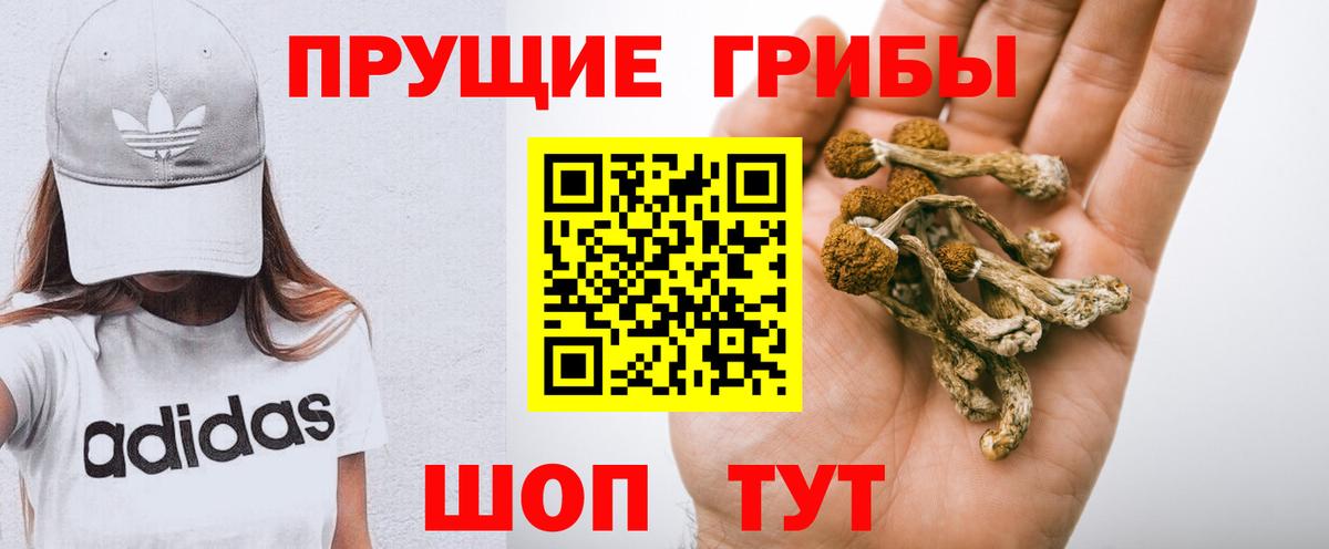 Псилоцибиновые грибы Magic Shrooms  Вход с VPN  Дедовск  Псилоцибиновые грибы Magic Shrooms 